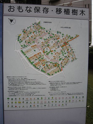 武蔵野緑町パークタウン(東京都武蔵野市) 武蔵野散策