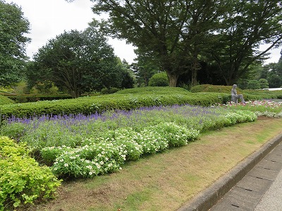 神代植物公園1 山野草園 芝生広場 深大寺門へ 東京都調布市 武蔵野散策