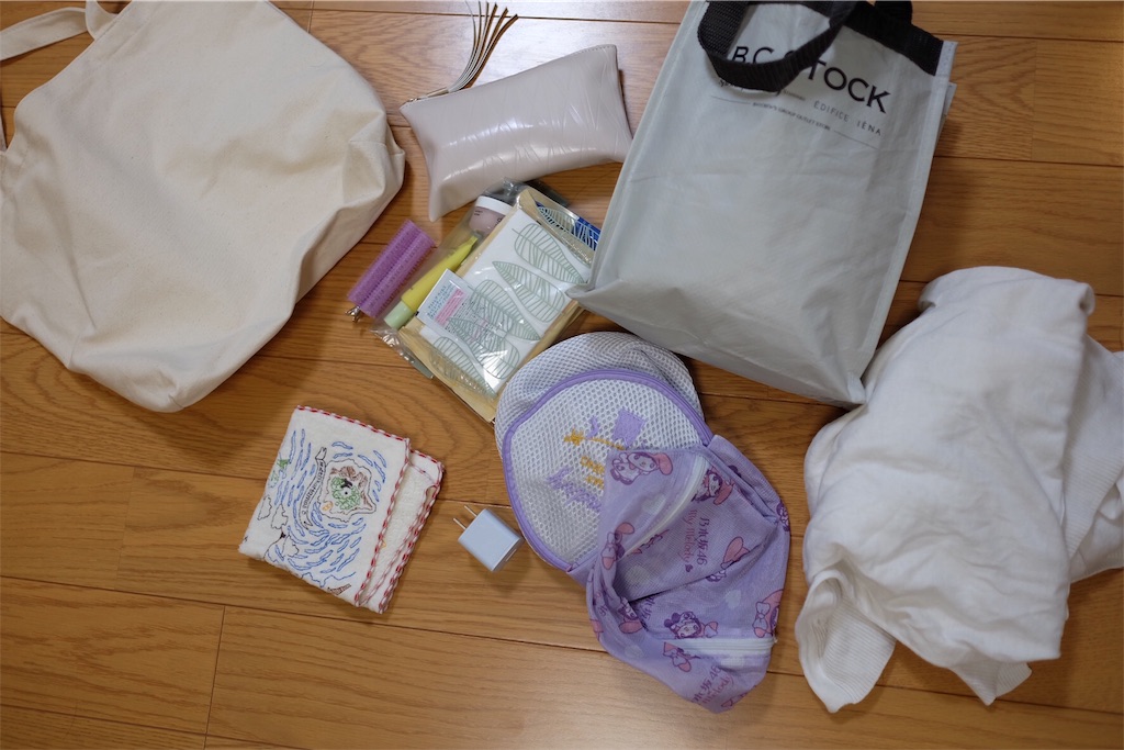 ミニマリストをめざす代女性の1泊2日旅行のバッグの中身 Daily