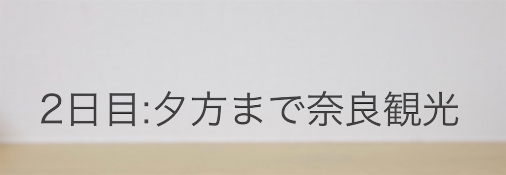 f:id:minisheep:20201022200221j:image