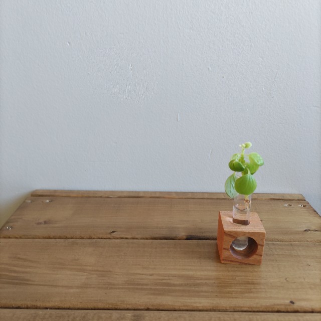 f:id:miniyotuba:20220117193814j:image f:id:miniyotuba:20220117193814j:image