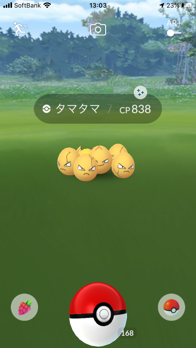 たまたまタマタマ Mini Z道 そして伝説へ たまたまタマタマ Mini Z道 そして伝説へ