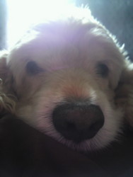 f:id:minko:20111127102511j:image