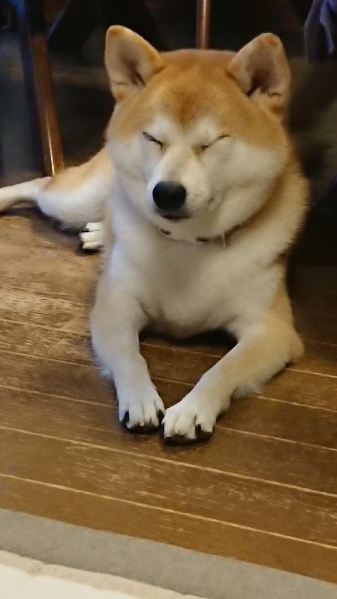 f:id:minko:20191128164902j:plain