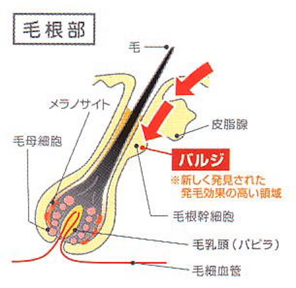 f:id:minkysho:20180324103355j:image