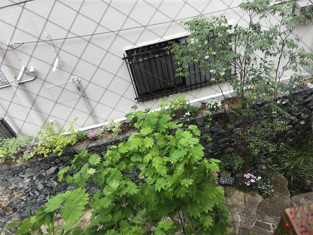 f:id:minkysho:20180415190535j:image f:id:minkysho:20180415190535j:image
