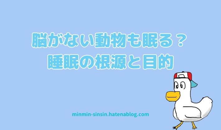 脳がない動物も眠る？睡眠の根源と目的に迫る