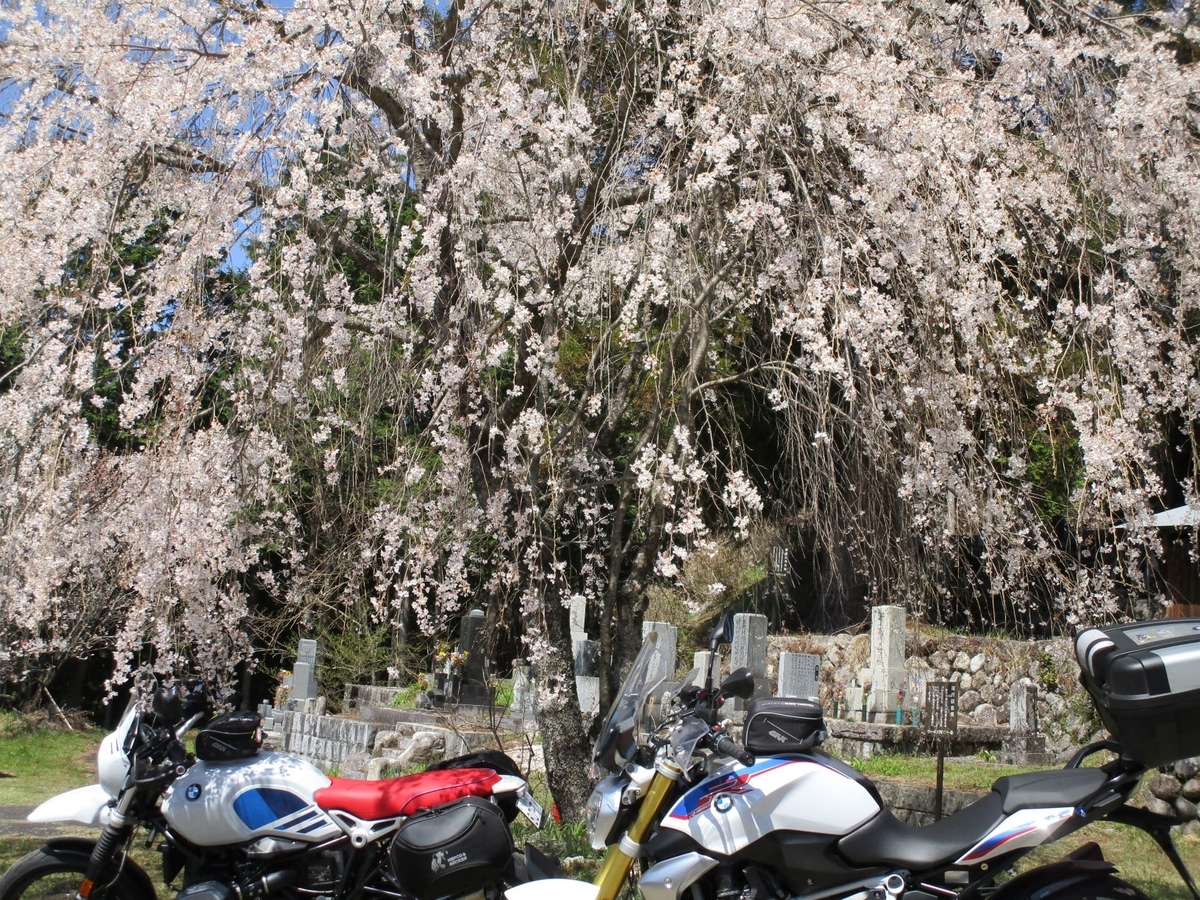f:id:minmin2019:20210412045823j:plain