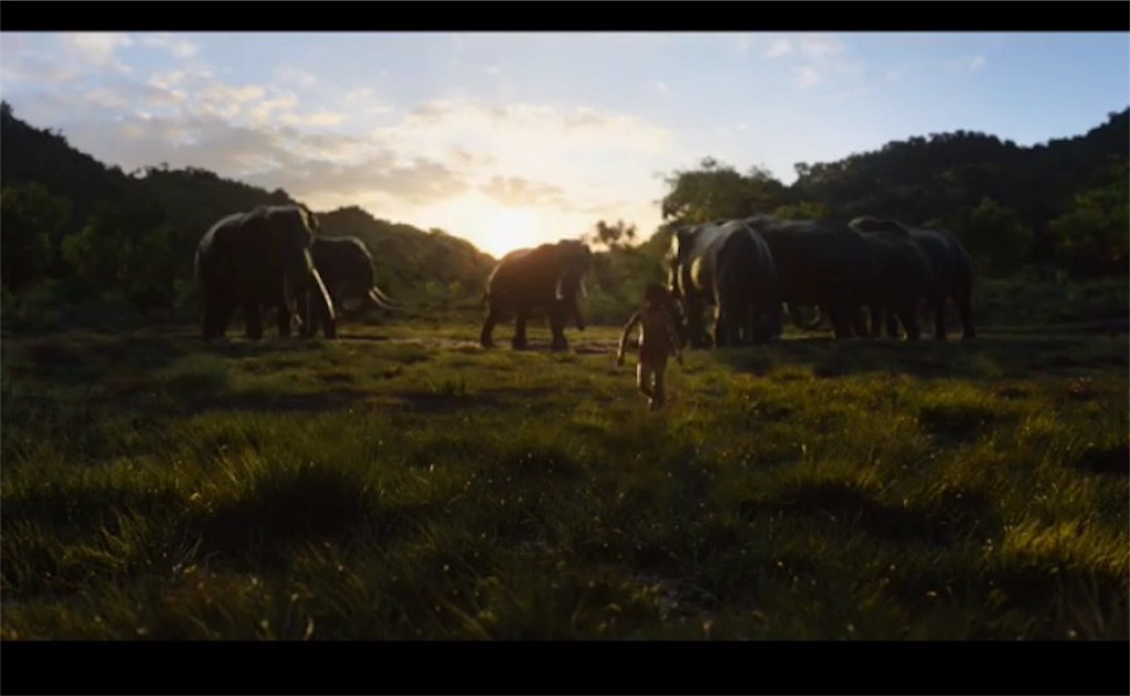 f:id:minmin70:20160819190207j:image