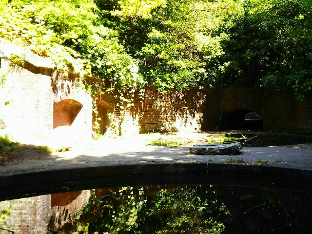 f:id:minminzemi81:20170619193729j:image