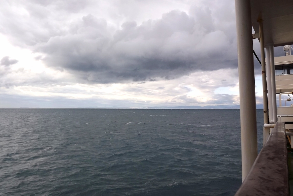 f:id:minminzemi81:20190105033518j:plain f:id:minminzemi81:20190105033518j:plain