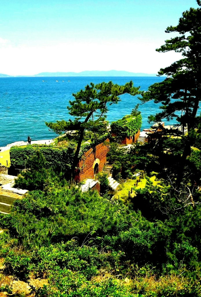 f:id:minminzemi81:20190121235539j:plain f:id:minminzemi81:20190121235539j:plain