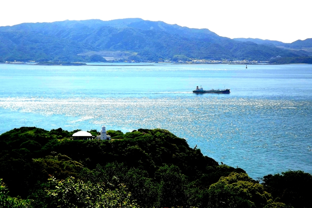 f:id:minminzemi81:20190122000149j:plain f:id:minminzemi81:20190122000149j:plain