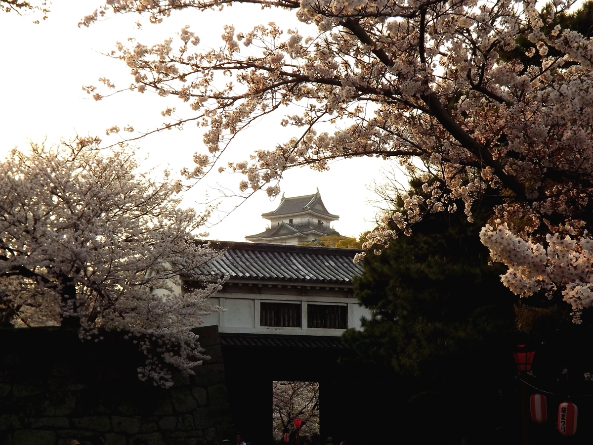 f:id:minminzemi81:20190409010932j:plain f:id:minminzemi81:20190409010932j:plain