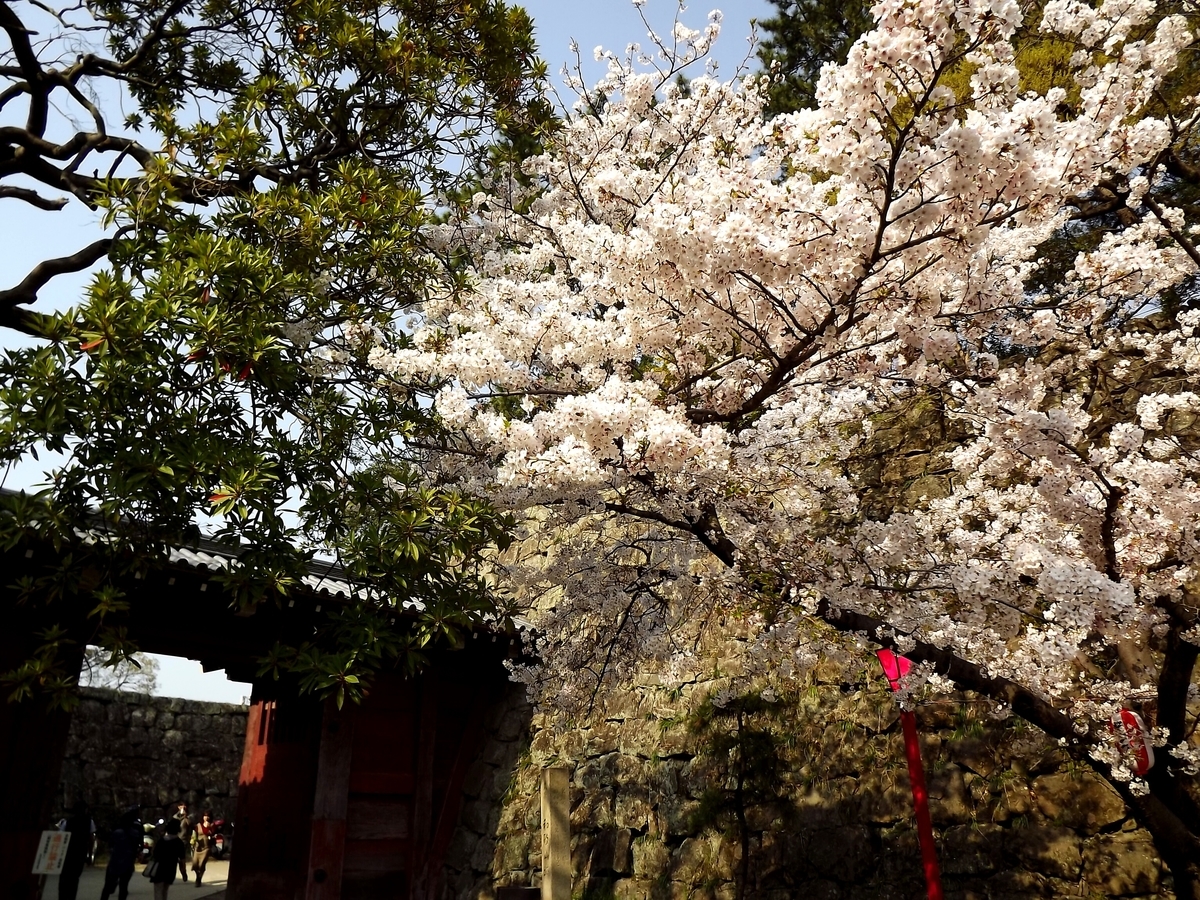 f:id:minminzemi81:20190409023349j:plain f:id:minminzemi81:20190409023349j:plain