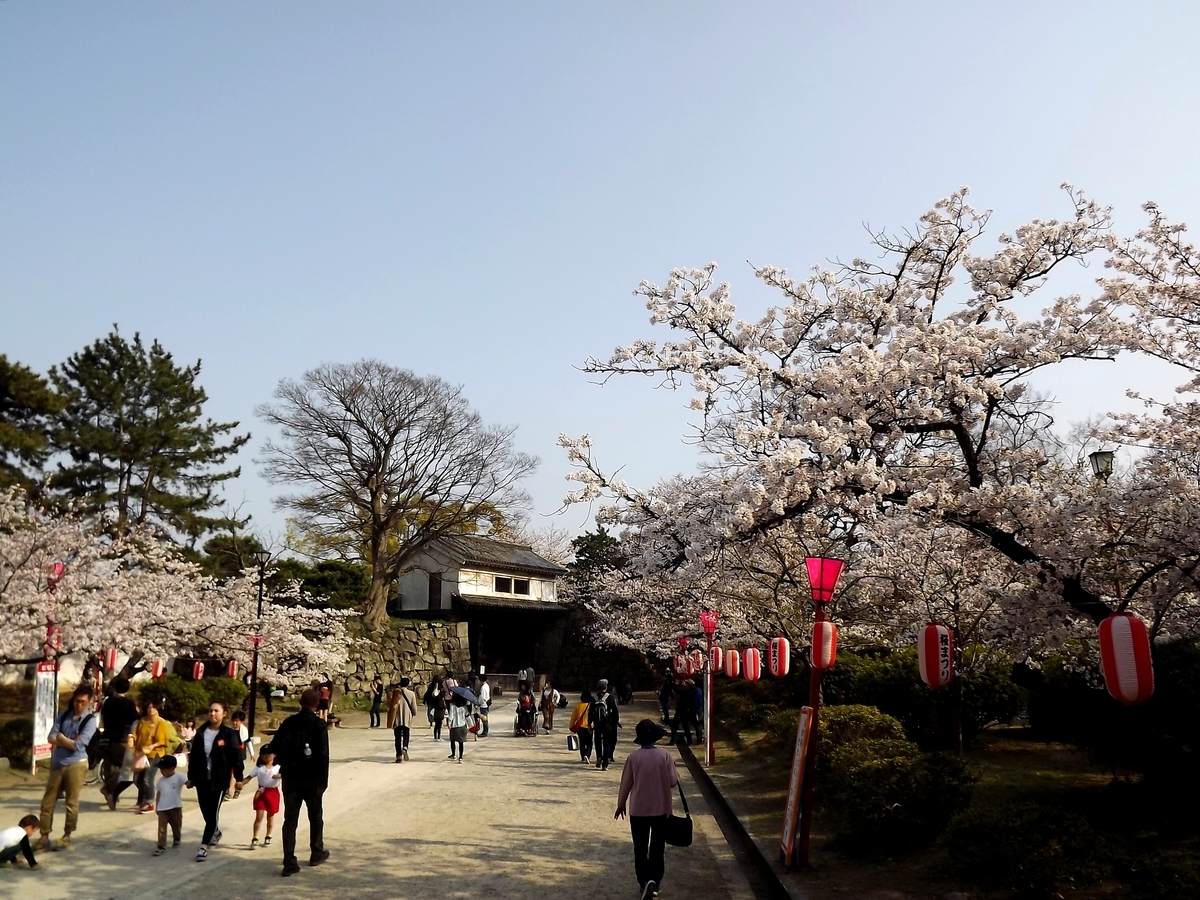 f:id:minminzemi81:20190412045012j:plain f:id:minminzemi81:20190412045012j:plain