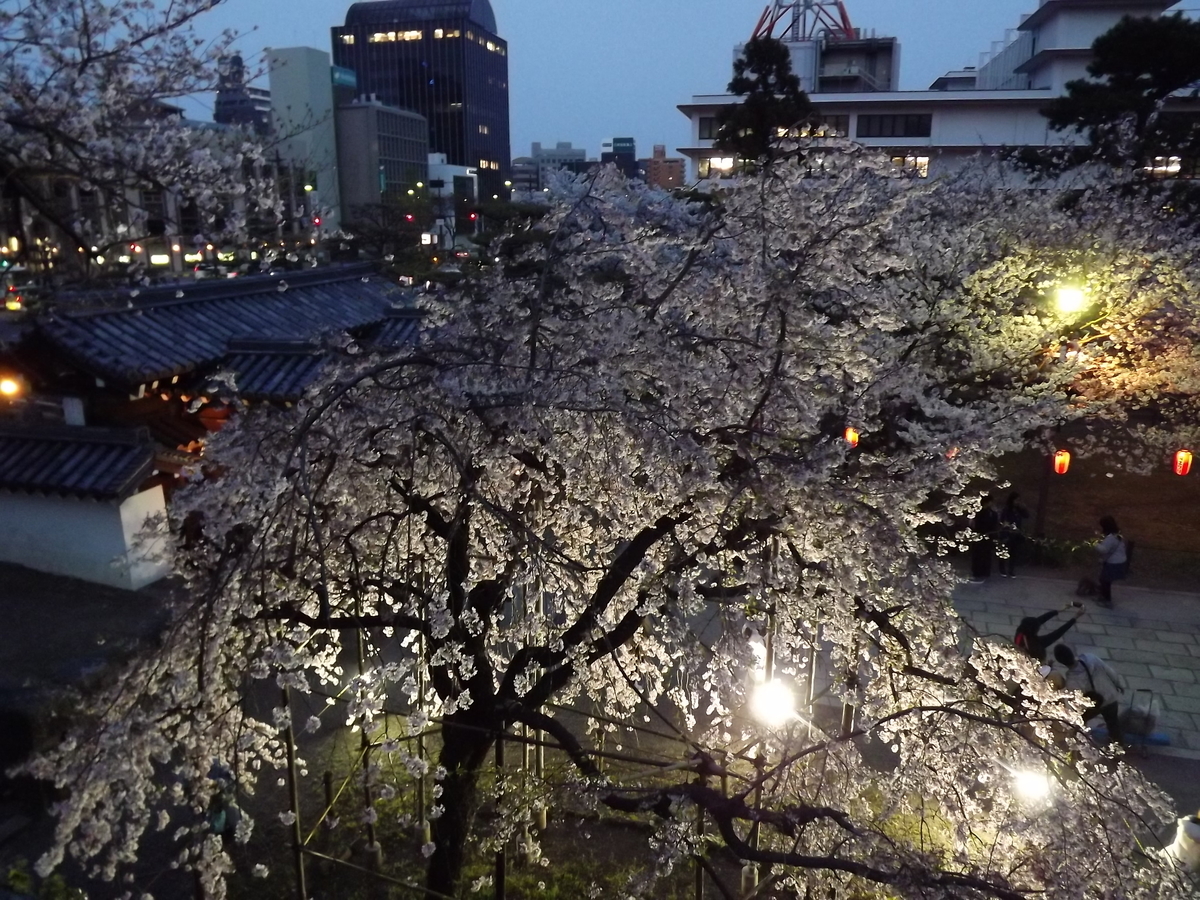 f:id:minminzemi81:20190412045258j:plain f:id:minminzemi81:20190412045258j:plain