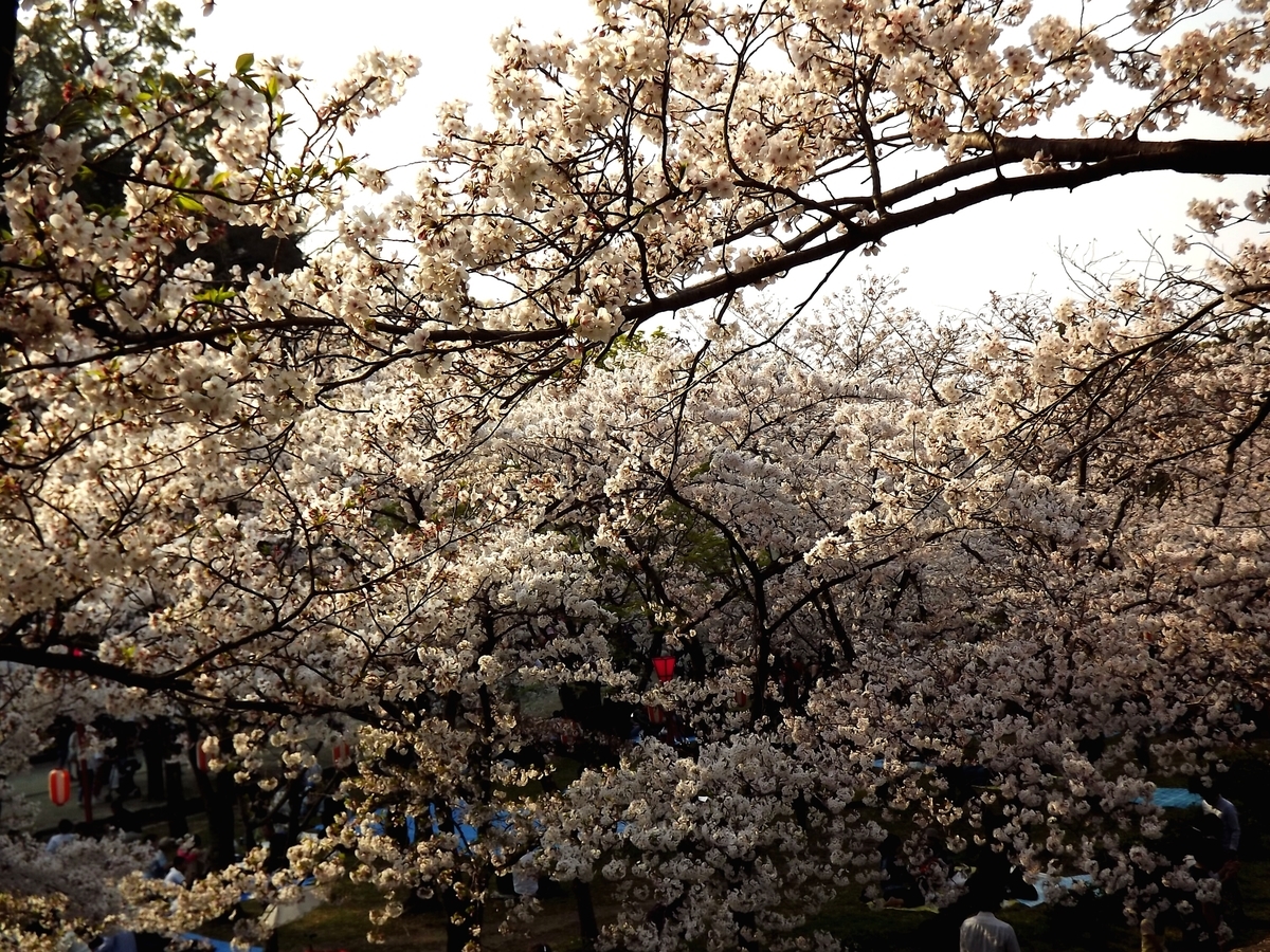 f:id:minminzemi81:20190412051522j:plain f:id:minminzemi81:20190412051522j:plain