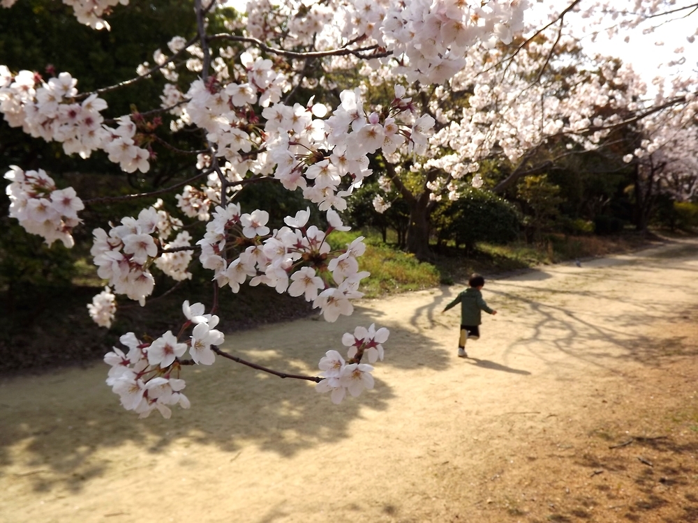 ワタシには好きな詩がある さようなら 谷川俊太郎 作 文學的 Minminzemi 81 S Blog