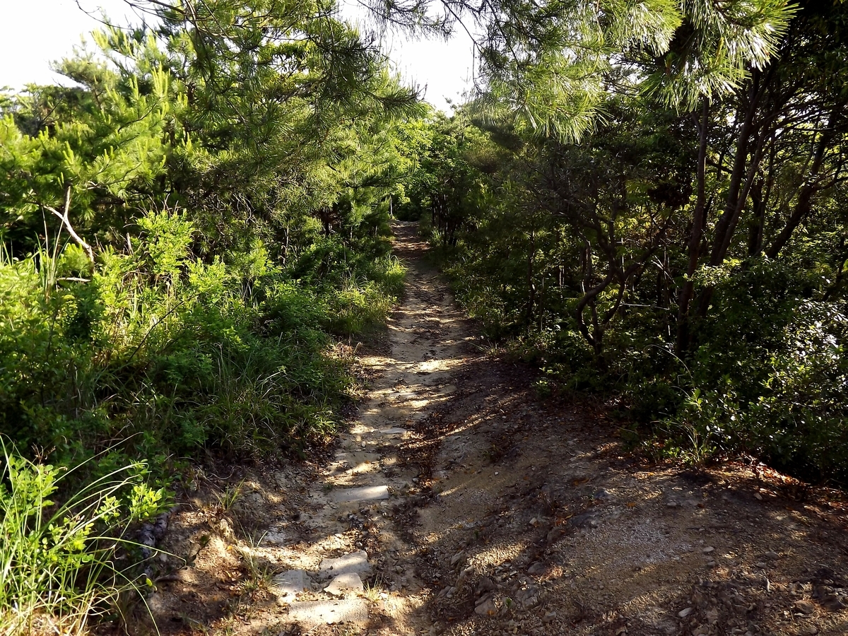 f:id:minminzemi81:20190603155132j:plain f:id:minminzemi81:20190603155132j:plain