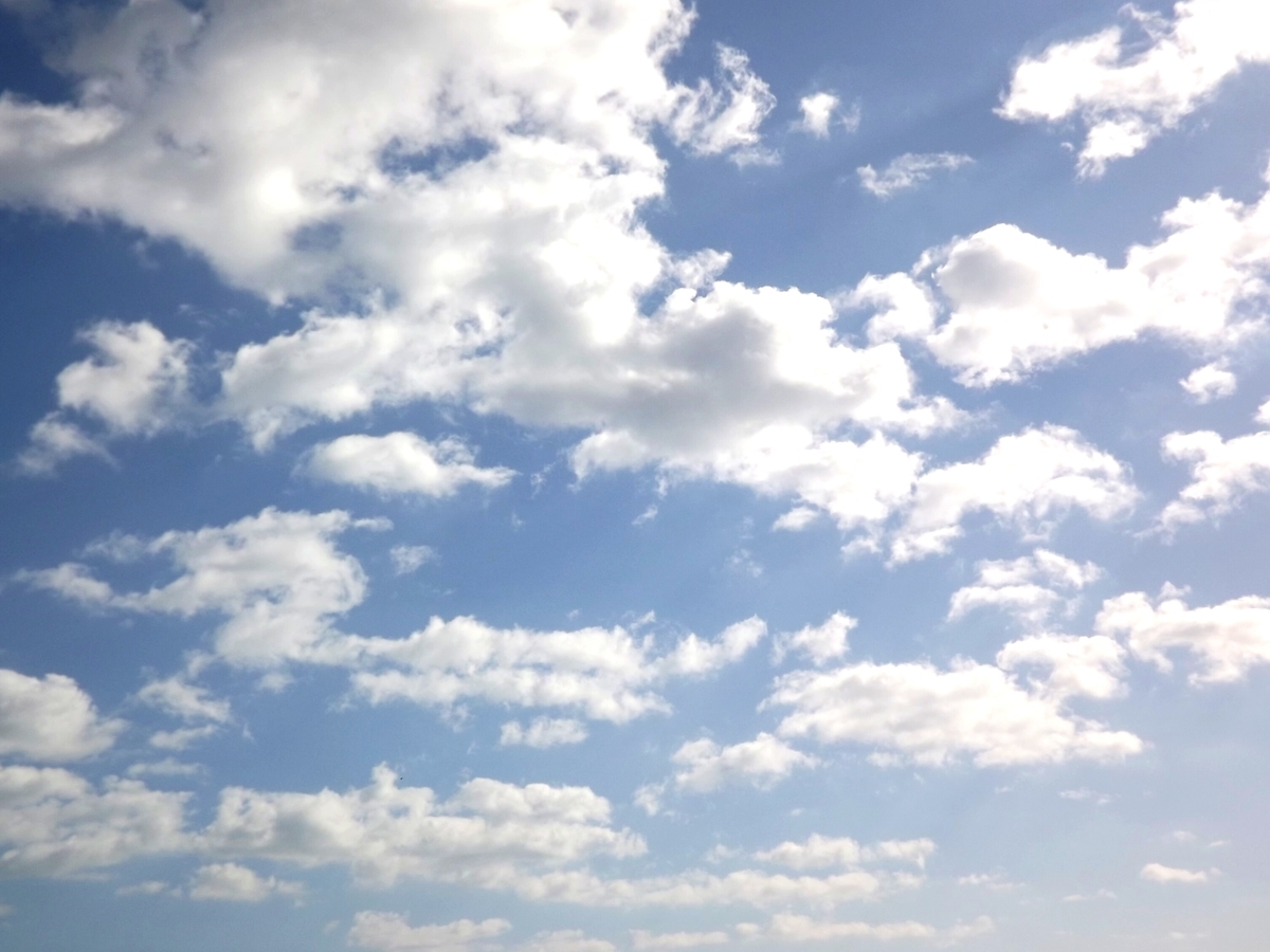 f:id:minminzemi81:20190704222908j:plain