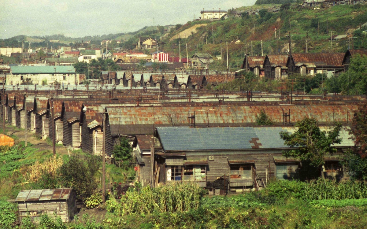 f:id:minminzemi81:20210212202343j:plain