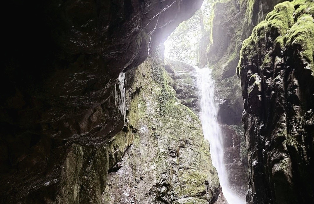 f:id:minminzemi81:20240828200821j:image f:id:minminzemi81:20240828200821j:image