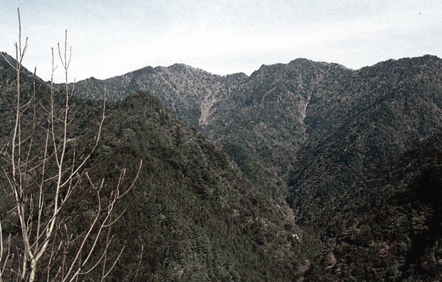 f:id:minminzemi81:20240828200859j:image f:id:minminzemi81:20240828200859j:image