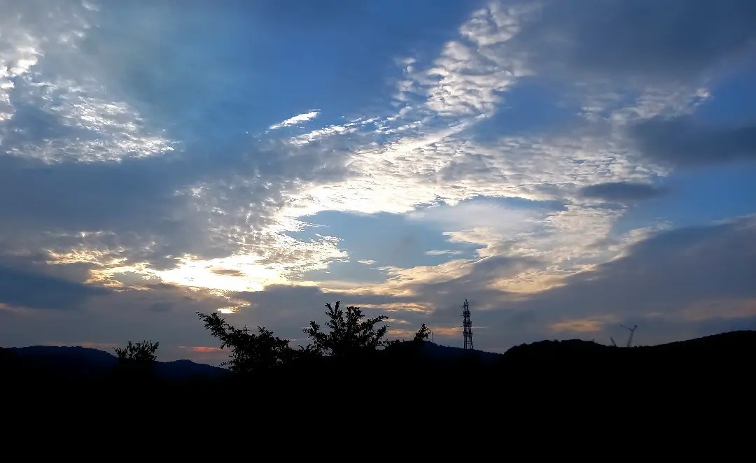 f:id:minminzemi81:20240904133622j:image f:id:minminzemi81:20240904133622j:image