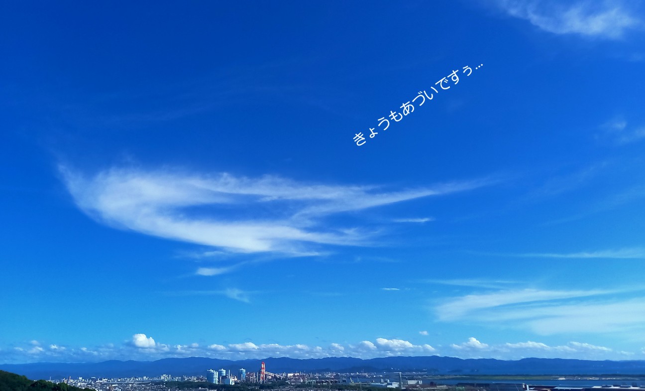 f:id:minminzemi81:20241114090650j:image f:id:minminzemi81:20241114090650j:image