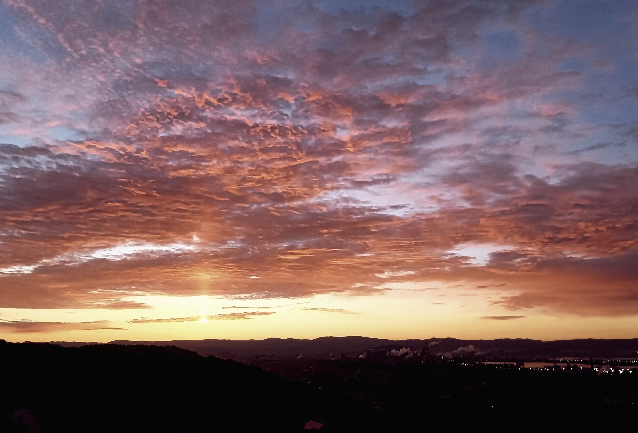 f:id:minminzemi81:20250404060911j:image f:id:minminzemi81:20250404060911j:image