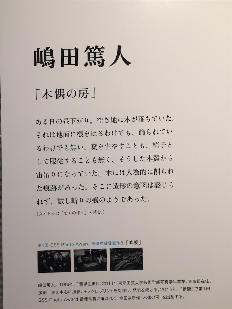 デジタルと銀塩の違いってあるのかな ゼラチンシルバーセッション - 人
