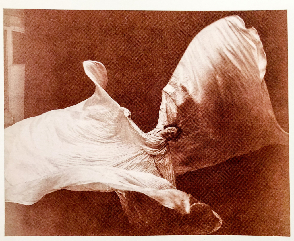 f:id:minnagi:20171205142129j:plain f:id:minnagi:20171205142129j:plain