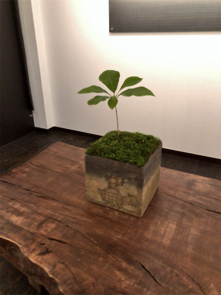 f:id:minnagi:20180620143821j:image