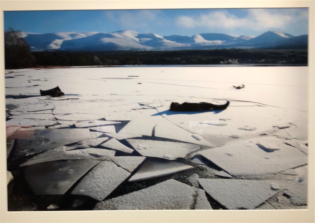 f:id:minnagi:20180822170405j:image f:id:minnagi:20180822170405j:image