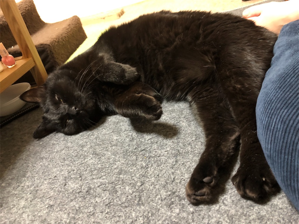 f:id:minnagi:20190401091321j:image f:id:minnagi:20190401091321j:image