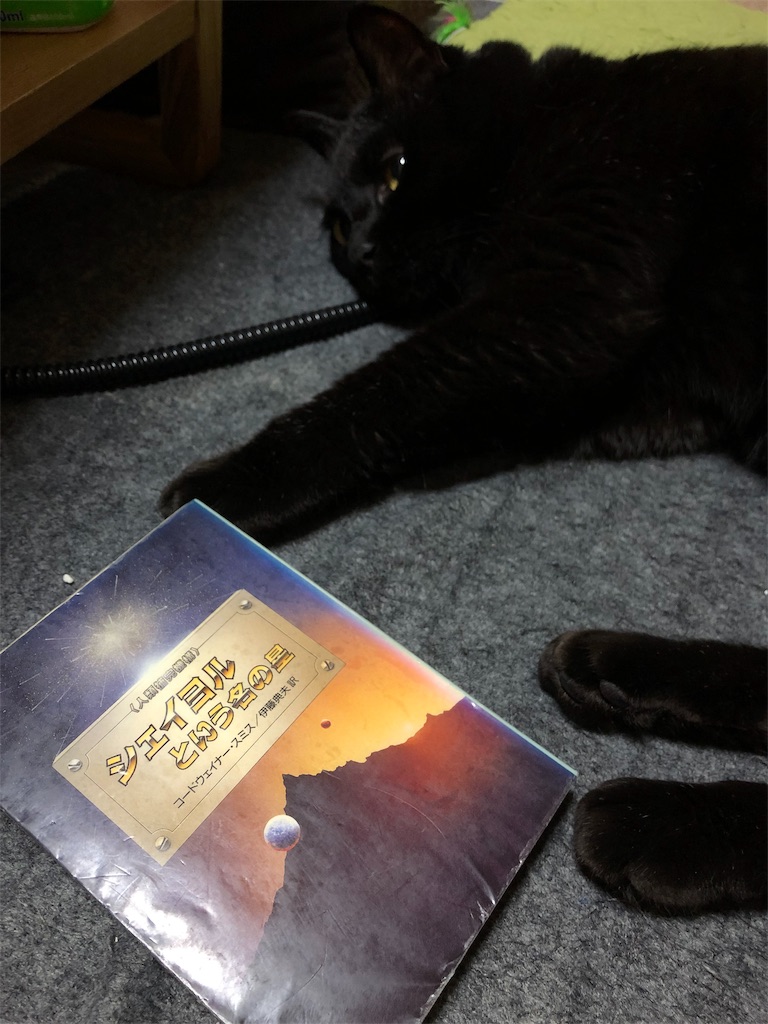 f:id:minnagi:20190412143244j:image f:id:minnagi:20190412143244j:image