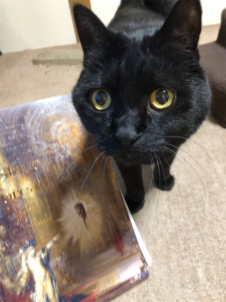 f:id:minnagi:20190417230008j:image f:id:minnagi:20190417230008j:image