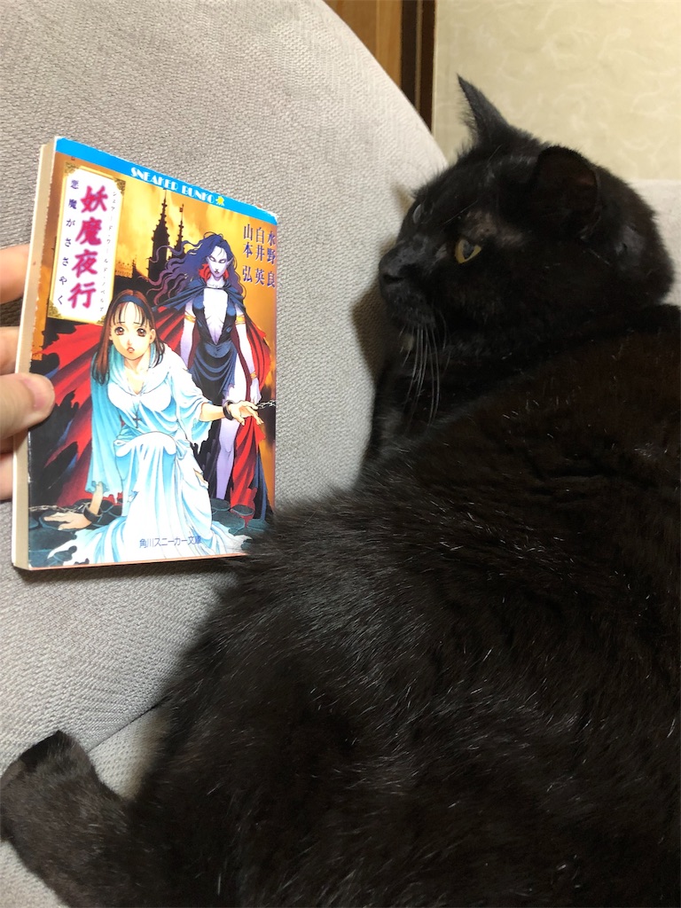 f:id:minnagi:20190523170802j:image f:id:minnagi:20190523170802j:image