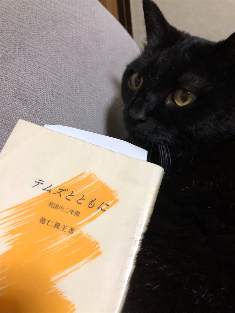 感想文 テムズとともに 人の金で美術館に行きたい 読