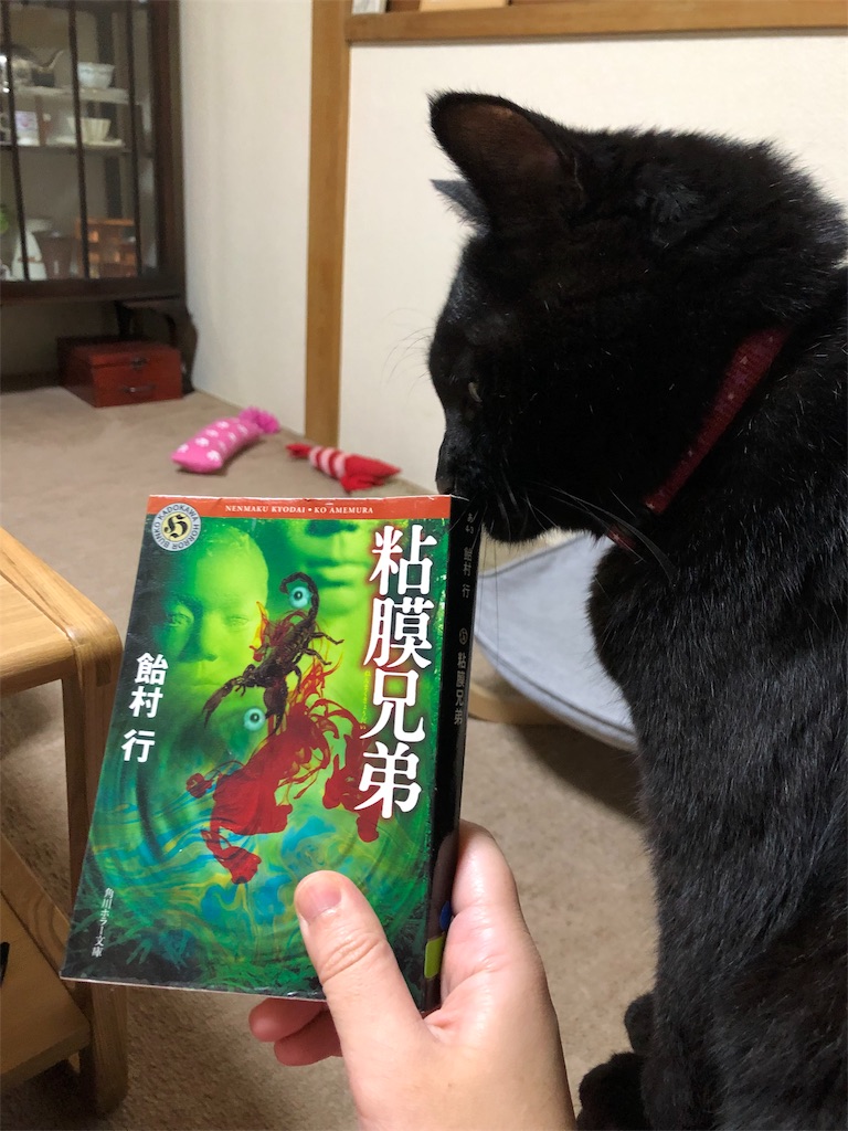 f:id:minnagi:20190615213446j:image f:id:minnagi:20190615213446j:image