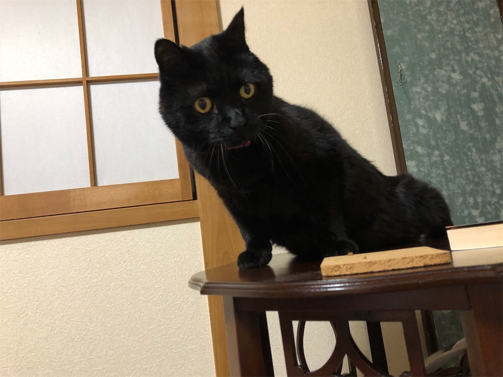 f:id:minnagi:20190618183250j:image f:id:minnagi:20190618183250j:image