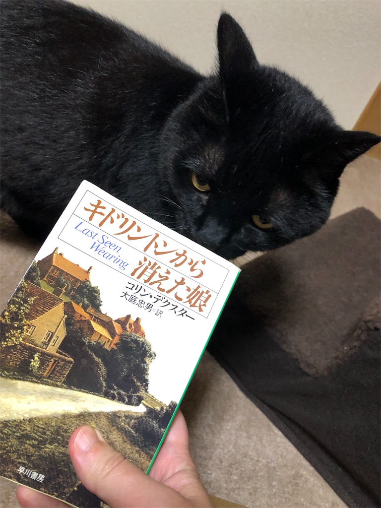 f:id:minnagi:20190624131400j:image f:id:minnagi:20190624131400j:image