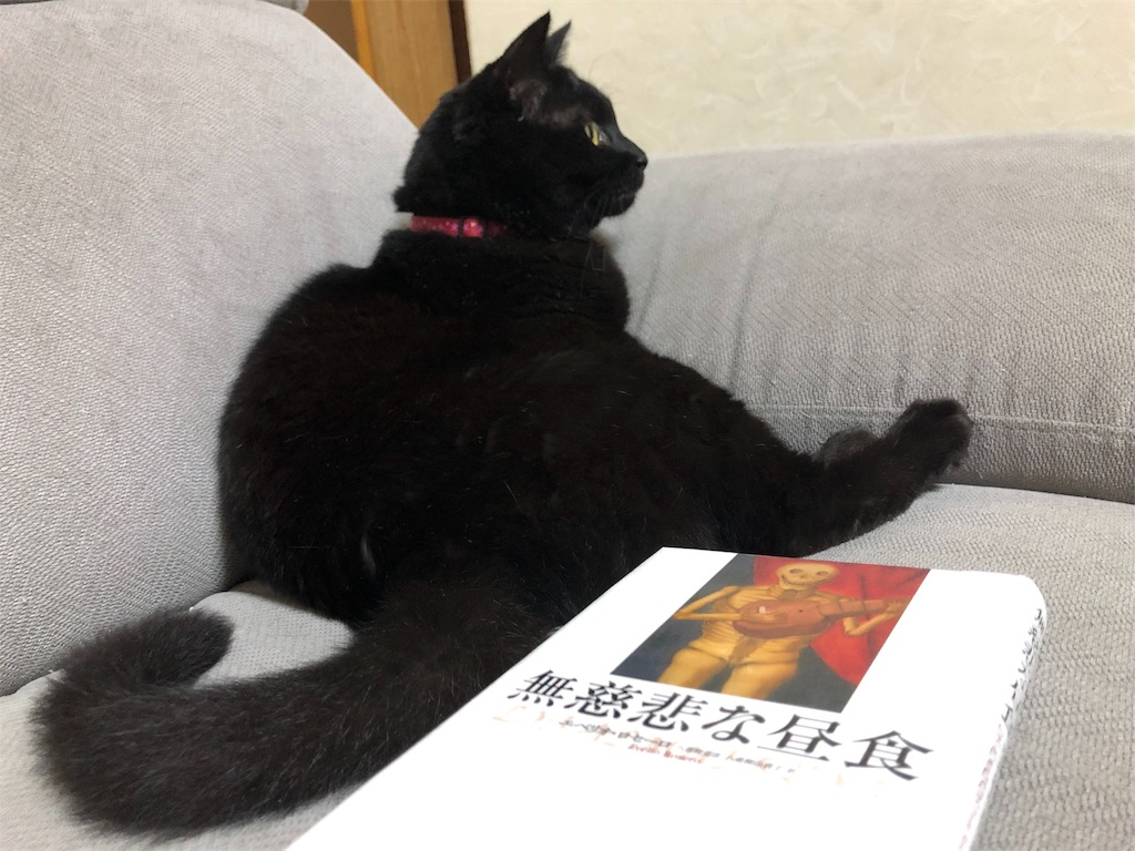 f:id:minnagi:20190717165819j:image f:id:minnagi:20190717165819j:image