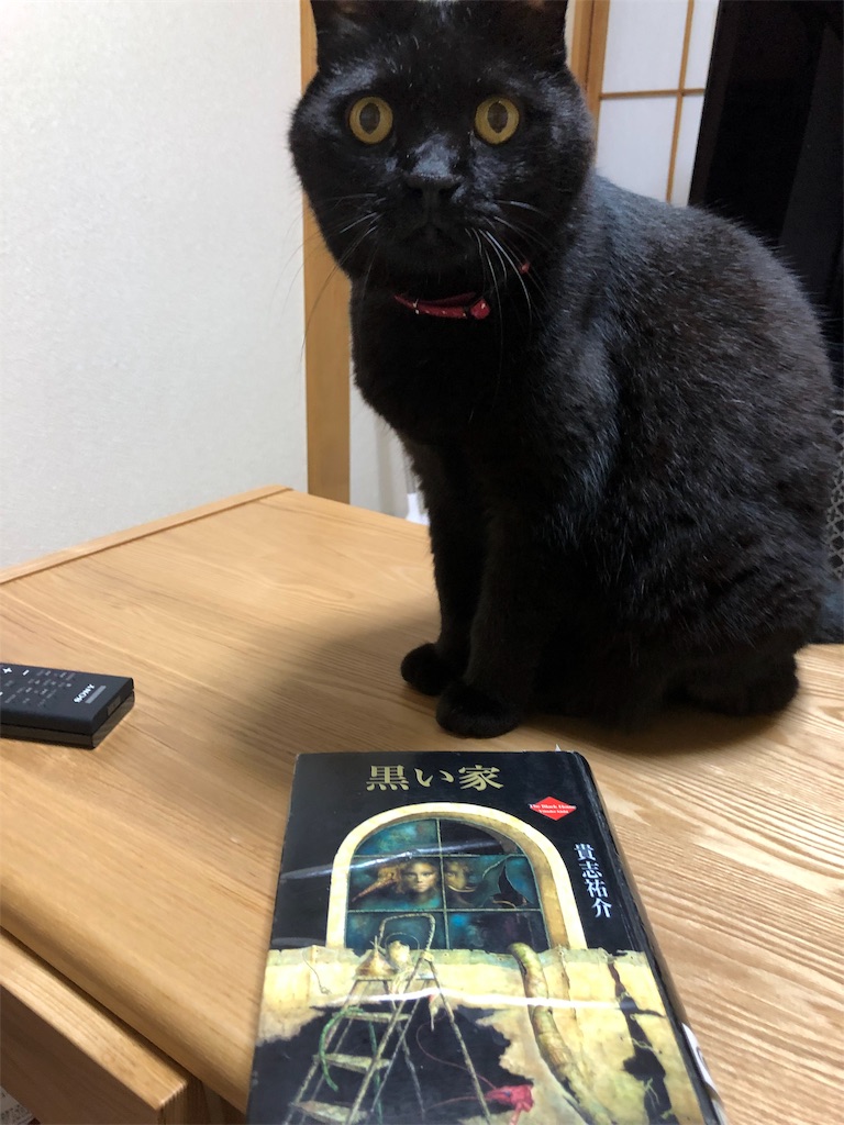 f:id:minnagi:20190726142419j:image f:id:minnagi:20190726142419j:image