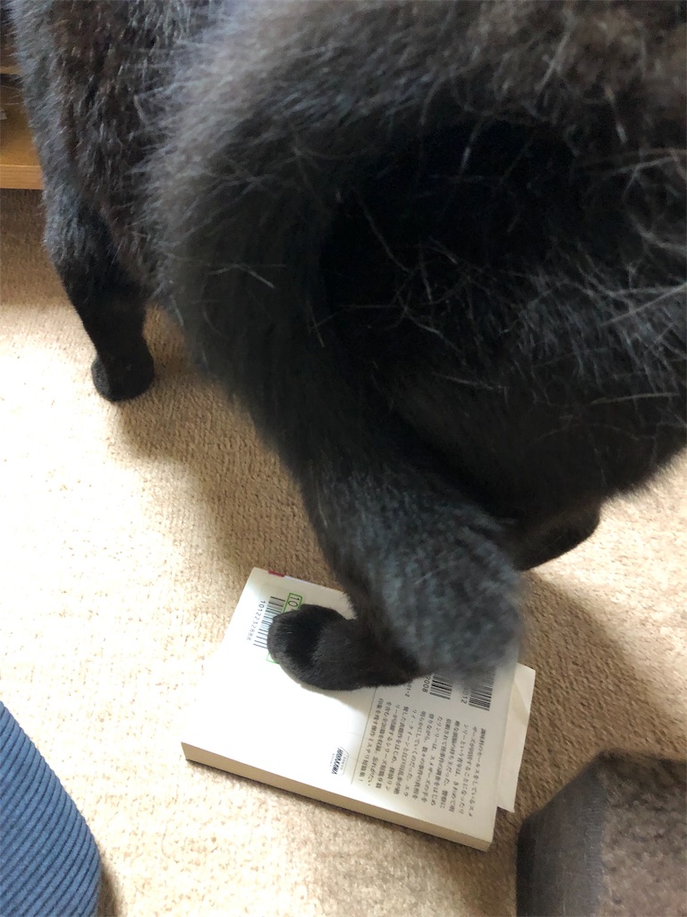 f:id:minnagi:20190729171208j:image f:id:minnagi:20190729171208j:image