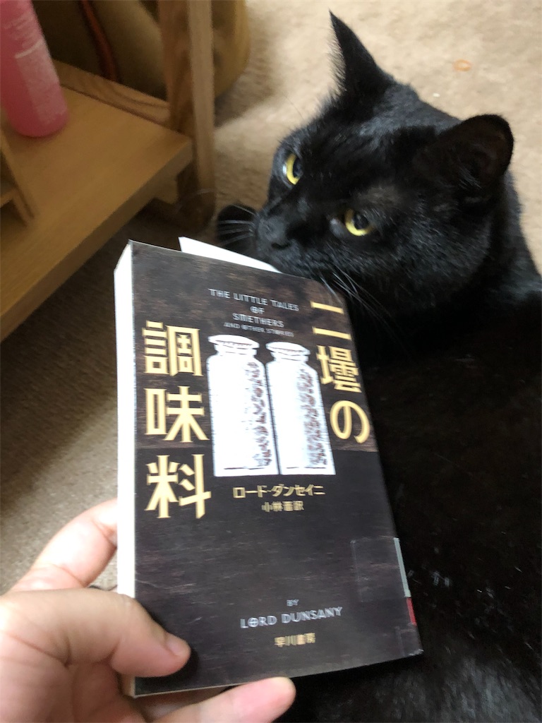 f:id:minnagi:20190729171211j:image f:id:minnagi:20190729171211j:image