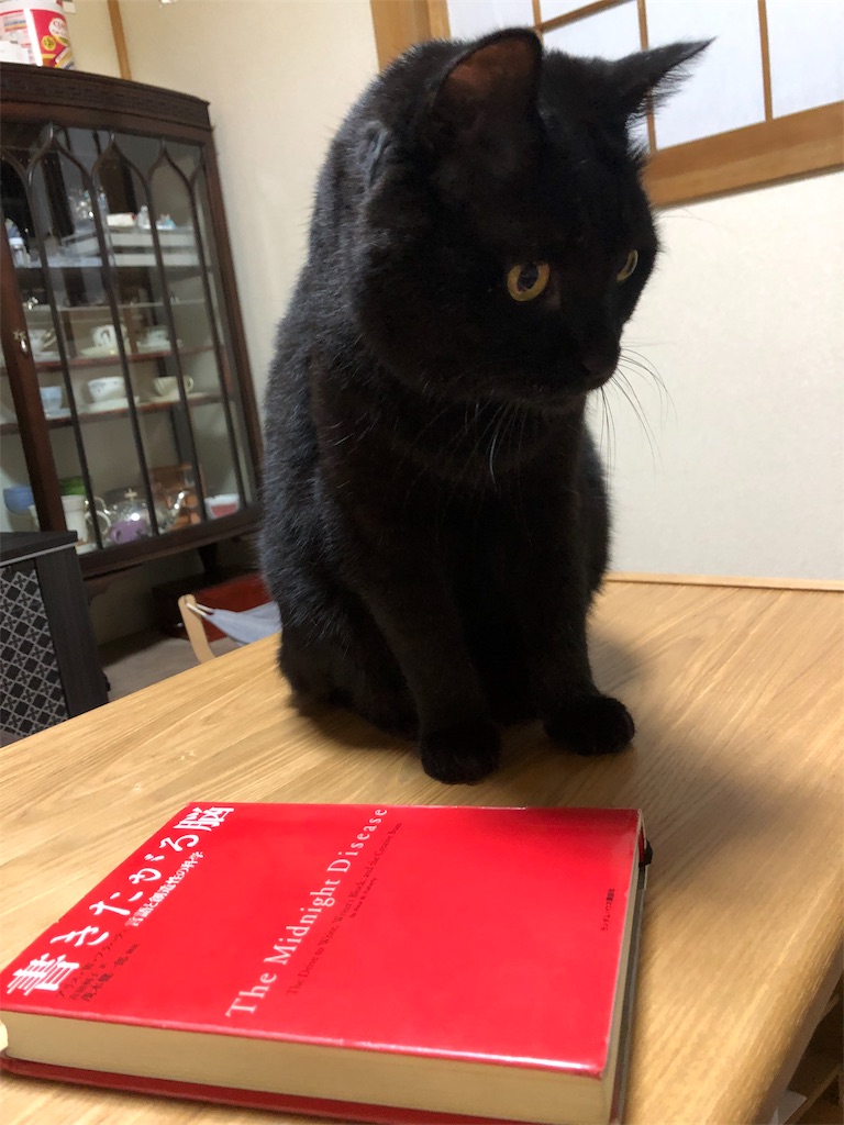 f:id:minnagi:20190830154345j:image f:id:minnagi:20190830154345j:image