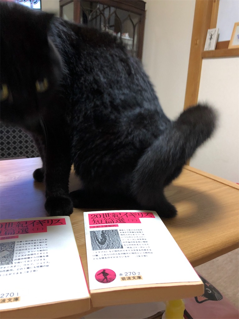 f:id:minnagi:20190919153454j:image f:id:minnagi:20190919153454j:image