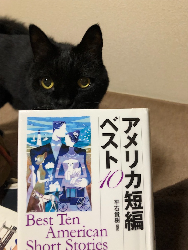 f:id:minnagi:20191028150101j:image f:id:minnagi:20191028150101j:image